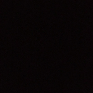 日本视频特黄AAA
