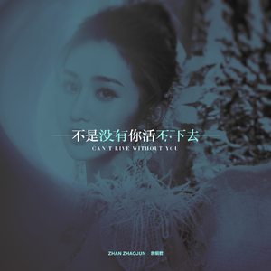 日本视频特黄AAA
